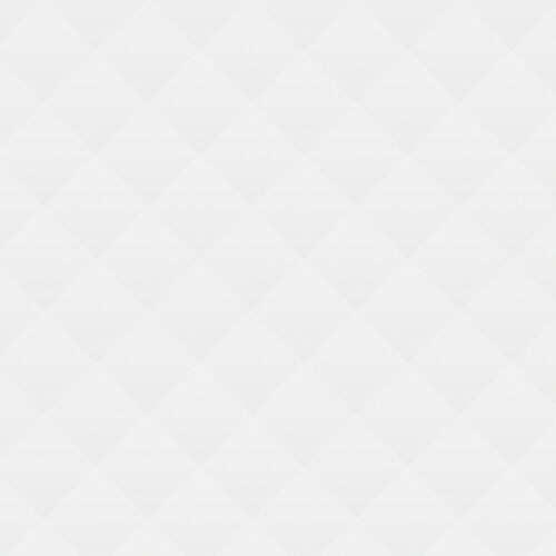 Pet Adoption: How To and What For?